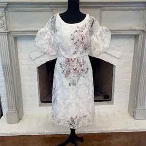 Tracey Reese x Anthropologie Dress